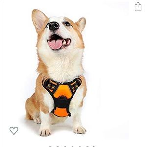 Dog Harness